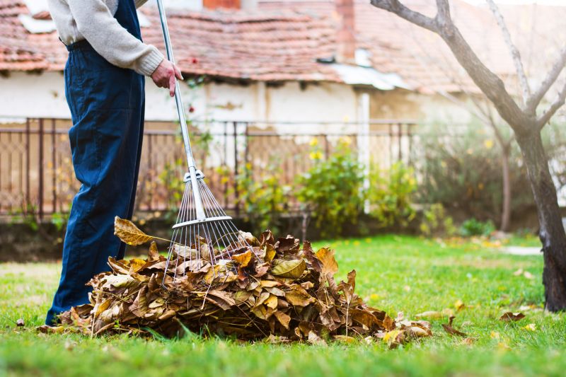 Autumn Lawn with Fallen Leaves