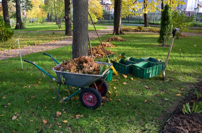 Equipment Used for Fall Cleanup