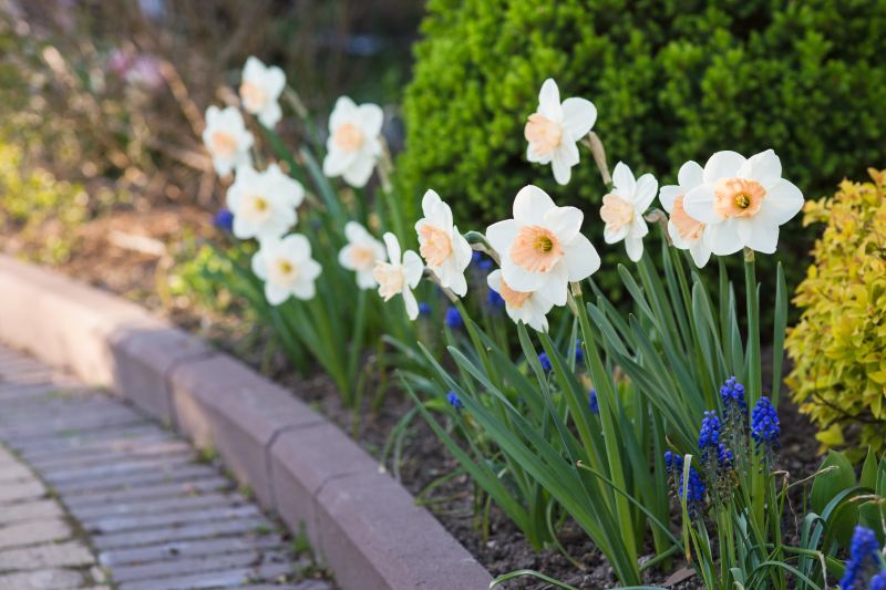 Elegant Paver Borders