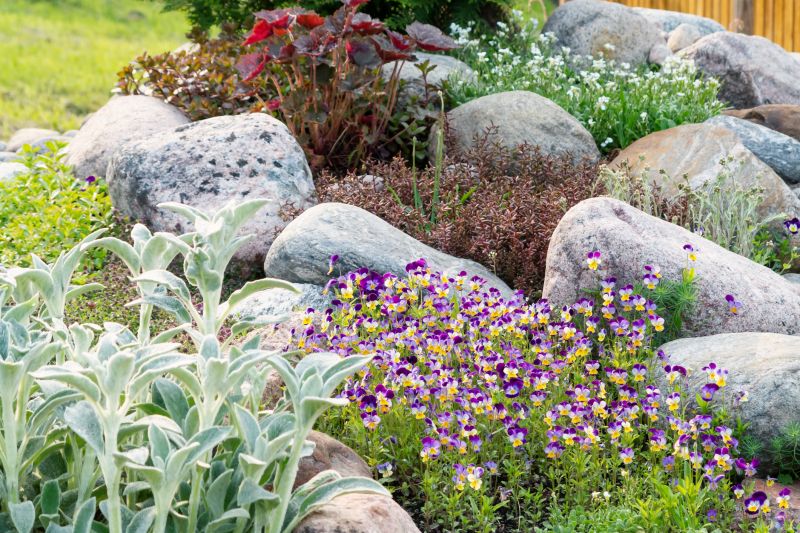 Rock Garden Design